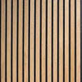 P. Flex 290x110cm